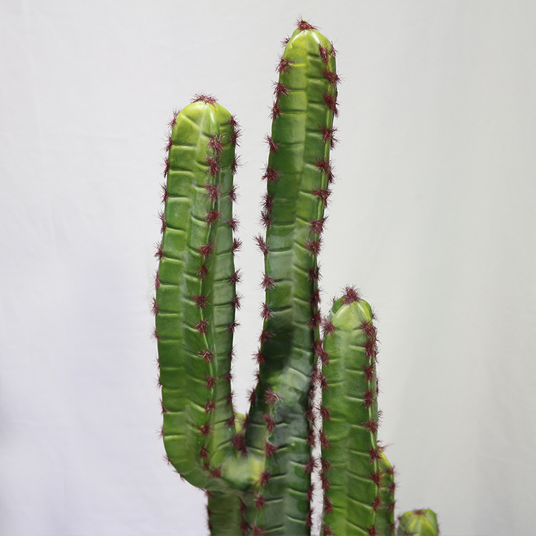 New-Style-Plastic-Saguaro-Cactus-Buy-Artificial-Cactus-Plant-at-Toronto-Cactus-and-Succulent-Club (5).jpg 
